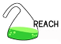 Reach_Logo